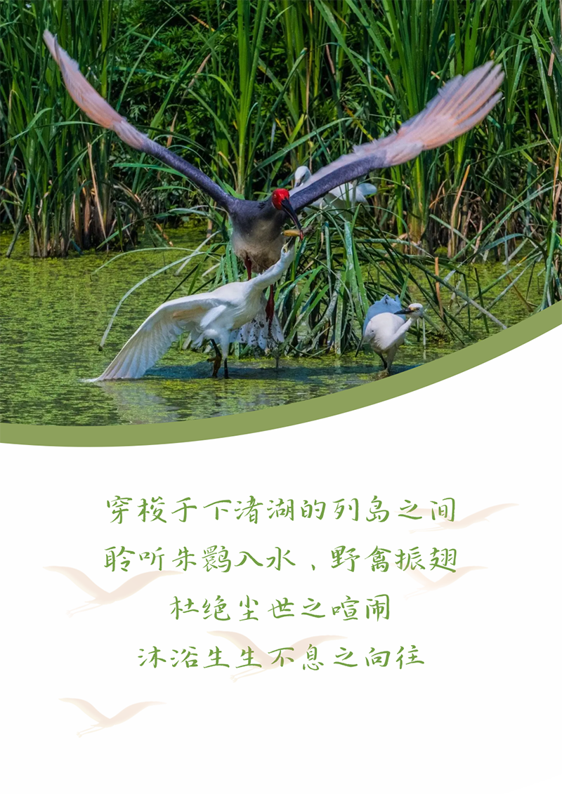 心心念廿 相伴AG官方登录入口 | 与德清相约 贺廿载诞辰